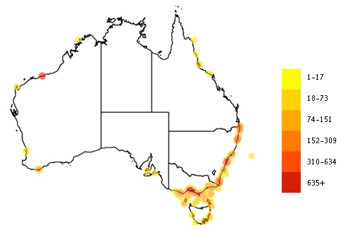 Distribution of Nereis spp. in Australia